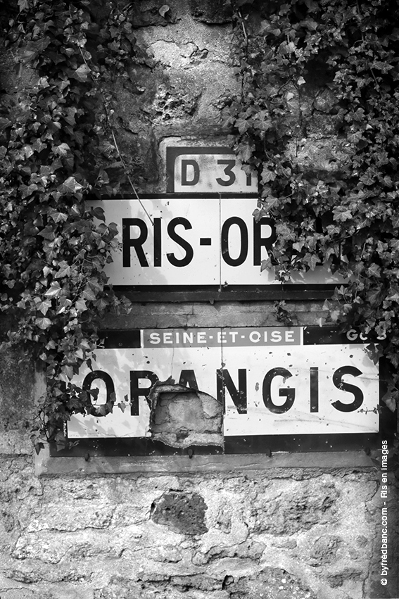 ris-orangis-en-images-inauguration-de-la-brianciere-160528-markiii-1541